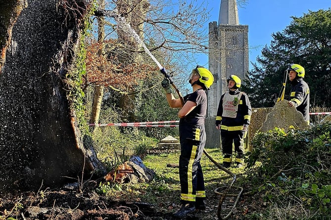 Buckfastleigh firefighters tackle an arson attack on a tree 