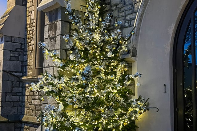 Special tree gives chance for remembrance
