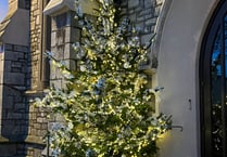 Special tree gives chance for remembrance