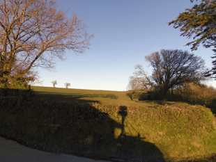 Dunsford may be getting nine new homes