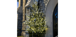 Tree of memories and messages up in Teignmouth