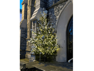 Tree of memories and messages up in Teignmouth