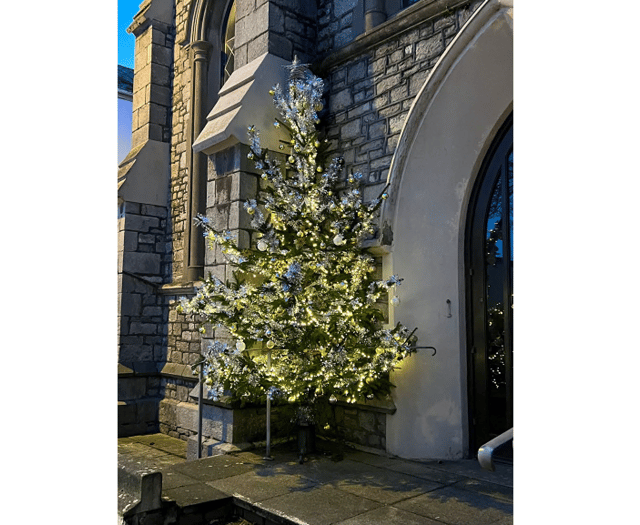 Tree of memories and messages up in Teignmouth