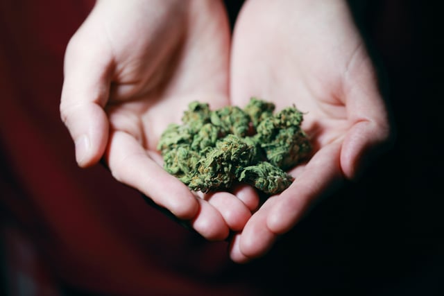 Cannabis quiche led gardener to launch raid on filling station
