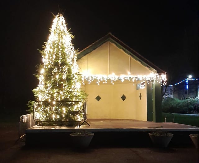 Vandals blasted for attacking Christmas tree 