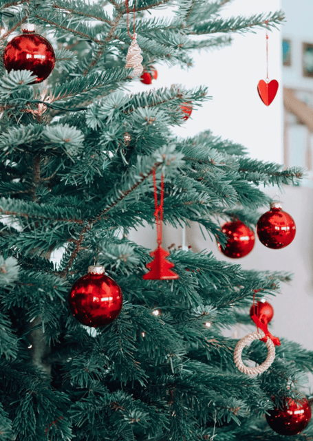 Christmas tree stock image