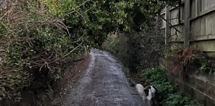 Yellow weather warning in force 