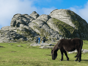 Dartmoor rangers to trial body-cams after anti-social behaviour
