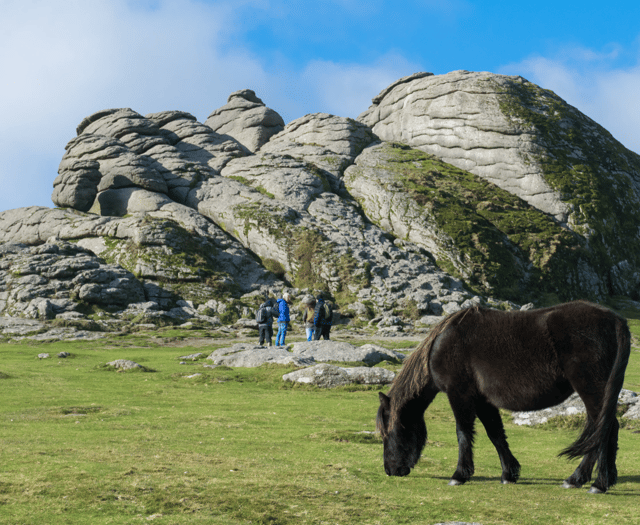 Dartmoor authority announces new partnership board 