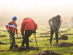 Still time to apply for free trees 
