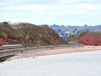 Woman dies after mobility scooter comes off sea wall