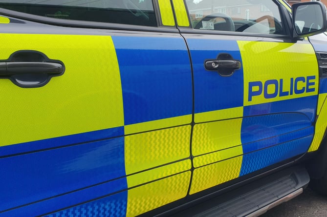 Police have arrested a man acting suspiciously in Williton.