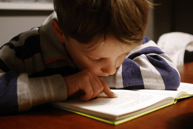Devon secures help from education czar for inclusion push