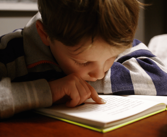 Careers programme to help school children dream big about their future