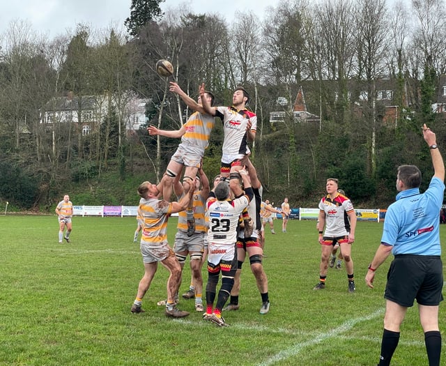 Crediton RFC Quins beat Newton Abbot Seconds 84-0

