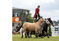 Atkinson Action Horses to put in performances at county show 