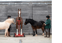 Mare and Foal's Mannequin Max to help rescuers
