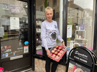 Fundraiser for Cyrus pound dogs amid Middle East turmoil 