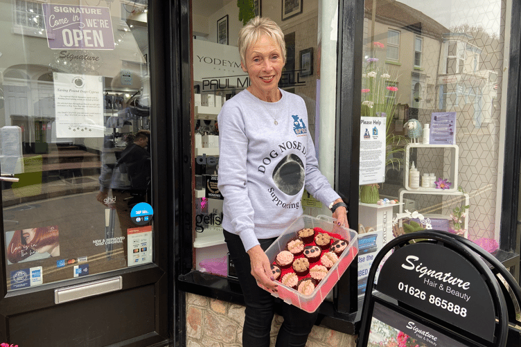Chrissy Marks of Signature Hair in Dawlish is once again raising money for Saving Pound Dogs Cyprus (SPDC)