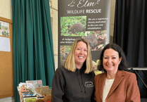 Easter raffle proves just the ticket for hedgehog charity ELM Wildlife 
