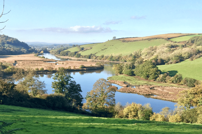 River Dart, Devon