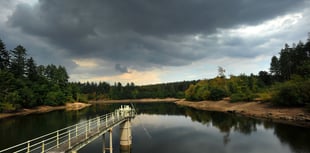 New report warns of Devon drought in 2026 without wet winter
