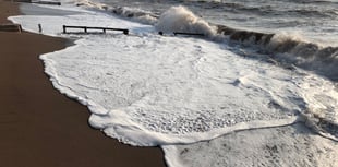 Sewage alerts issued for Dawlish and Shaldon beaches