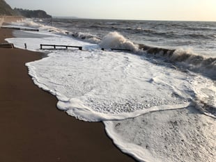 Sewage alerts issued for Dawlish and Shaldon beaches