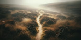 Project brings exciting new vision for Dartmoor's folklore 