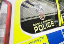 Man Arrested After Heathfield Break-in and Car Theft