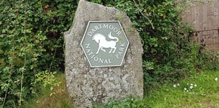 Speeding vehicles impact visitors to Dartmoor 
