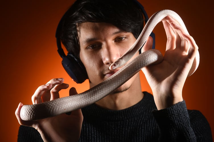 BEye View: A Passion for bugâs and reptiles will give Ned Riley who has autism, an opportunity to showcase his knowledge of exotic creepy crawlies and nocturnal tetrapods at the Devon County Show next month, where a specially constructed jungle garden will afford him the environment to share information with the thousands of visitors attending the Exeter show ground.
 The opportunity for Ned ( whose autism is making it tough to transition from education to a Career ) to work in the jungle garden is part of the County showâs pledge to become more inclusive and accessible to all, including a Quiet zone for Neuro divergent children.Â©Russell Sach - 0771 882 6138 
