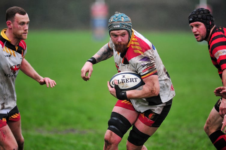 Rugby. Newton Abbot versus Cullompton