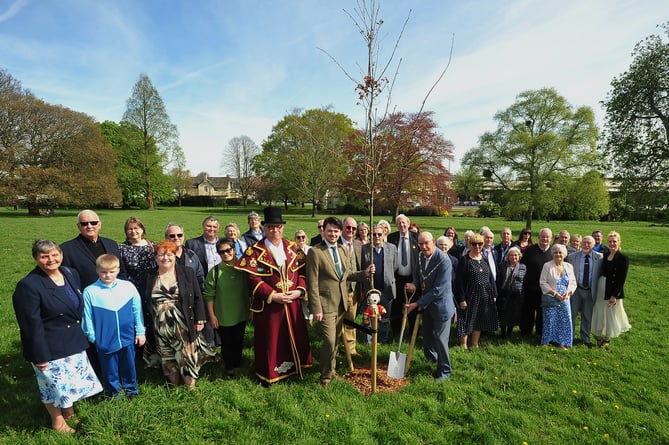 Tree planting in Courtenay Park, Newton Abbot,  to celebrate the 50th anniversary of the forming of Newton Abbot Town Council