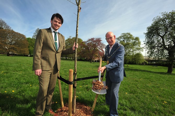 Tree planting in Courtenay Park, Newton Abbot,  to celebrate the 50th anniversary of the forming of Newton Abbot Town Council. Deputy mayor Cllt Alex Hall and mayor Clltr David Corney-Walker
