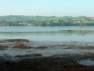 EA targets sewage spills in Teignbridge