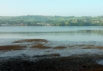 New bacteria ‘threat’ detected in River Teign
