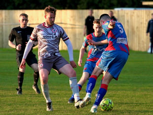 Bees stung by Last-gasp Neil