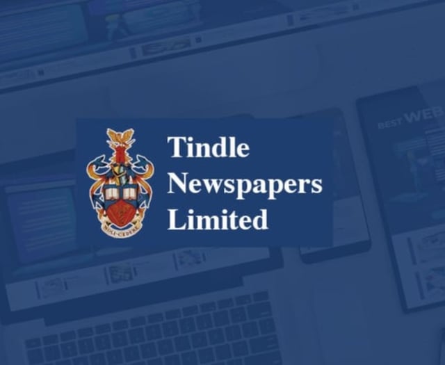Using Tindle Devon websites to promote your business