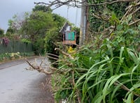 Speed signs installed in Shillingford