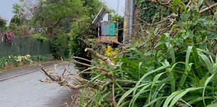 Speed signs installed in Shillingford