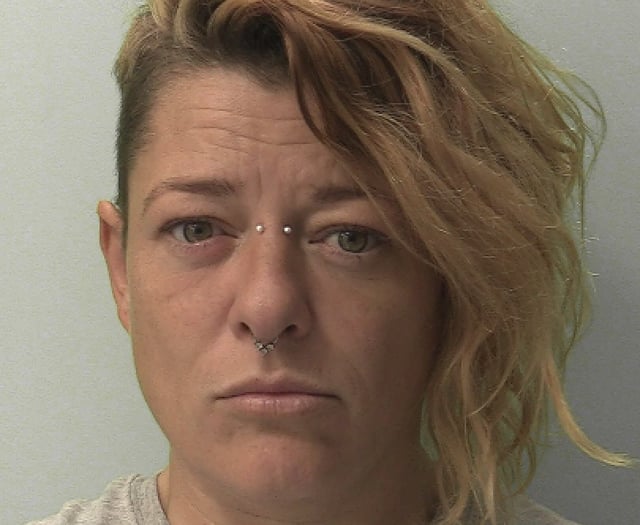 Woman jailed after setting light to car in 'cry for help' 