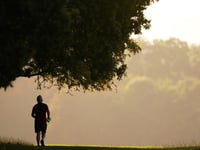 Adults in Teignbridge are more active than their neighbours