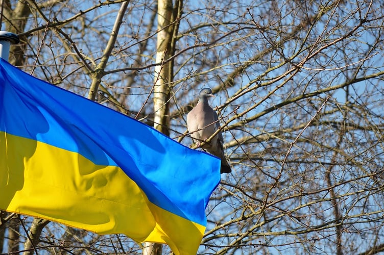Ukraine flag