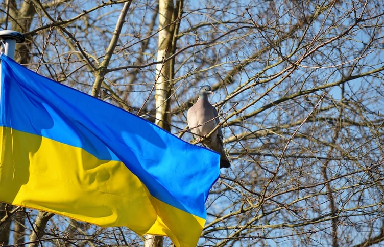 Ukraine flag