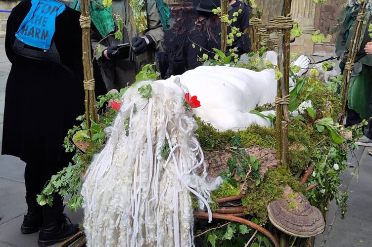 Mother Nature lies on the green funeral pyre