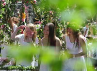 Spring is the air at Lustleigh