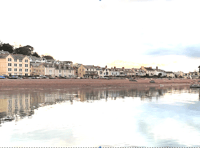 Shaldon precept up 20%