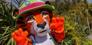 Zoo is ready to roar this month