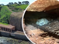 Owl found nesting in cliffs by rail worker 